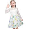 Sunny Fashion Girls Dress Green Floral Lace St Patrick Clover Party Long Sleeve(White)