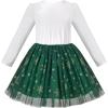 Sunny Fashion Girls Dress Long Sleeve Christmas Owl Sparkling Sequin Tulle(Green Snowflake)