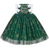 Sunny Fashion Girls Dress Long Sleeve Christmas Owl Sparkling Sequin Tulle(Green Snowflake)