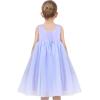 Sunny Fashion Girls Dress Sleeveless Halter Flower Multi Layer Chiffon(Sky Blue Tulle)