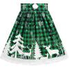 Sunny Fashion Girls Dress Unicorn Rainbow Long Sleeve Casual Dress Size 3-8(Green Christmas)