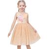 Sunny Fashion Flower Girls Dress White Wedding Pageant Bridesmaid Gown Size 3-10(Beige V Neck)