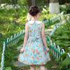 Sunny Fashion Girls Dress Blue Flower Print(Blue Lemon)