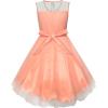 Sunny Fashion Girls Dress Caramel Star Lace Short Sleeve Pleated Collar Dress(Light Salmon)
