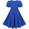 Sunny Fashion Girls Dress Pink Solid A-line Vintage Puff Sleeve Spring Summer(Blue)