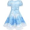Sunny Fashion Girls Dress Snow Queen Cartoon Lace Birthday Party Princess