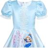 Sunny Fashion Girls Dress Snow Queen Cartoon Lace Birthday Party Princess