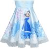 Sunny Fashion Girls Dress Snow Queen Cartoon Lace Birthday Party Princess