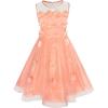 Sunny Fashion Girls Dress Caramel Star Lace Short Sleeve Pleated Collar Dress(Light Salmon)