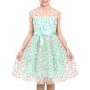 Sunny Fashion Girls Dress Caramel Star Lace Short Sleeve Pleated Collar Dress(Turquoise Polka Dot)