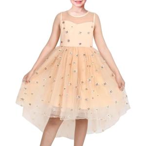 Sunny Fashion Flower Girls Dress Unicorn Rainbow Pageant Princess Party(Beige Star)
