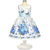 Sunny Fashion Girls Dress Rose Flower Double Bow Tie Party Sundress(Blue Flower Butterfly)