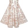 Sunny Fashion Girls Dress V Neckline Embroidered Floral Champagne Size 6-12
