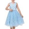 Sunny Fashion Flower Girls Dress Purple Tiered Skirt Bridesmaid Wedding(Blue Mesh)