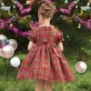 Sunny Fashion Girls Dress Red Checkered Lace Ruffle Skirt Long Sleeve Christmas(Red Plaid Check)